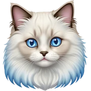 Ragdoll cat  sticker