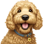 Golden doodle happy sticker