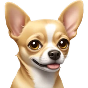 Chihuahua sticker