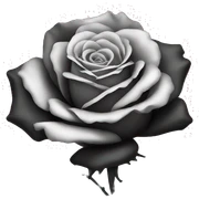 Rose black sticker