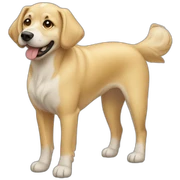 blond dog sticker