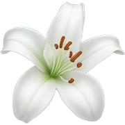 Lily  sticker