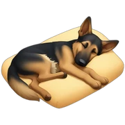 german shepherd sleeping full body sticker