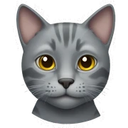 Grey cat sticker