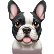 French Bulldog  sticker