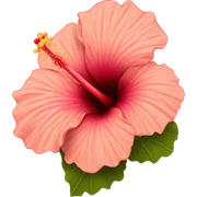 Hibiscus sticker