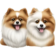 A white and a brown Pomeranians  sticker