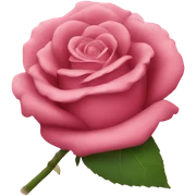 Rose sticker