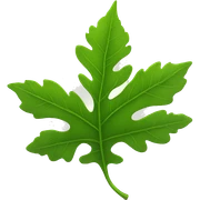 leaf sticker