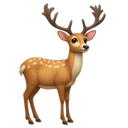 deer sticker
