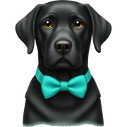 Black Labrador with turquoise bow tie sticker