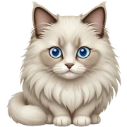 ragdoll cat sticker