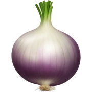 onion sticker