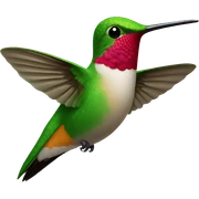 Hummingbird sticker