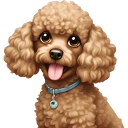 Toy poodle sticker
