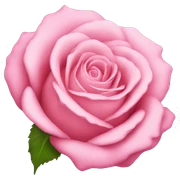 pink rose sticker