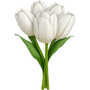 white tulip bouquet  sticker