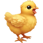 baby chicken sticker
