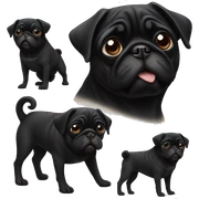 black pug sticker