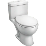 Toilet  sticker