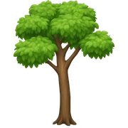Tree sticker