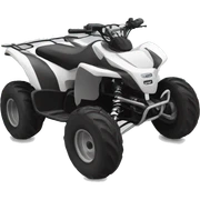 sport quad sticker