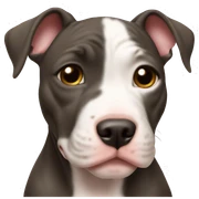 Pitbull puppy sticker