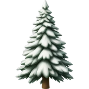  actual white fir christmas tree isolated.  sticker