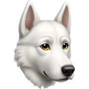white husky  sticker