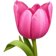 Pink tulips with a bow sticker
