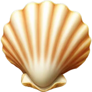 Shell sticker