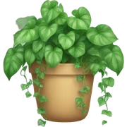 pothos plant hanging vines  sticker