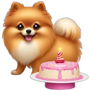 Pomeranian eat cake sticker