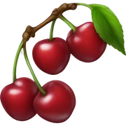 Cherry  sticker