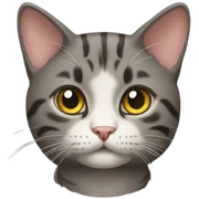 cat cat sticker