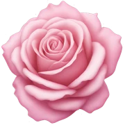 Baby pink rose  sticker