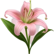 light pink lilium sticker