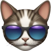 Cat with sunglasses sticker