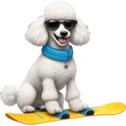 Poodle on snowboard  sticker