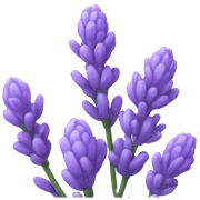 Lavender sticker