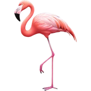  flamingo sticker