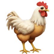 chicken with muscles  sticker