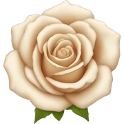 beige rose sticker