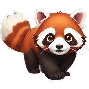 red panda sticker