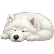 Samoyed sleeping sticker