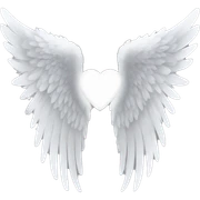 Generate a white angel wings sticker