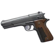 Gun in hand sticker