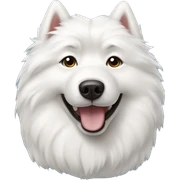 Samoyed sticker