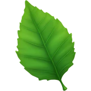 Leaf sticker