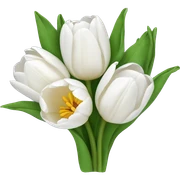 white tulip bouquet  sticker